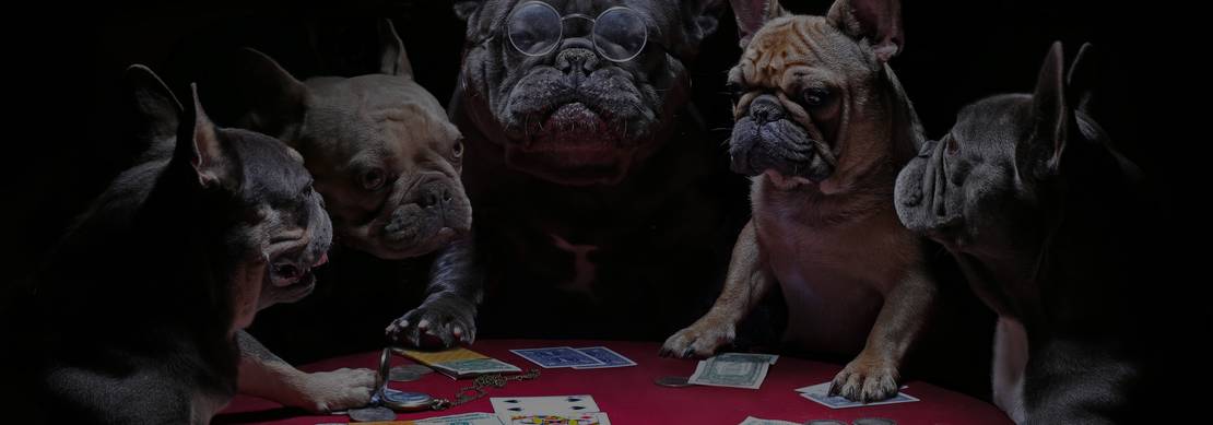 French bull dogs sitting at a poker table playing poker