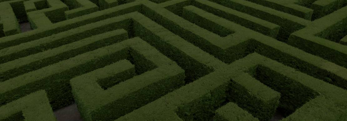 picture of a hedge cut maze